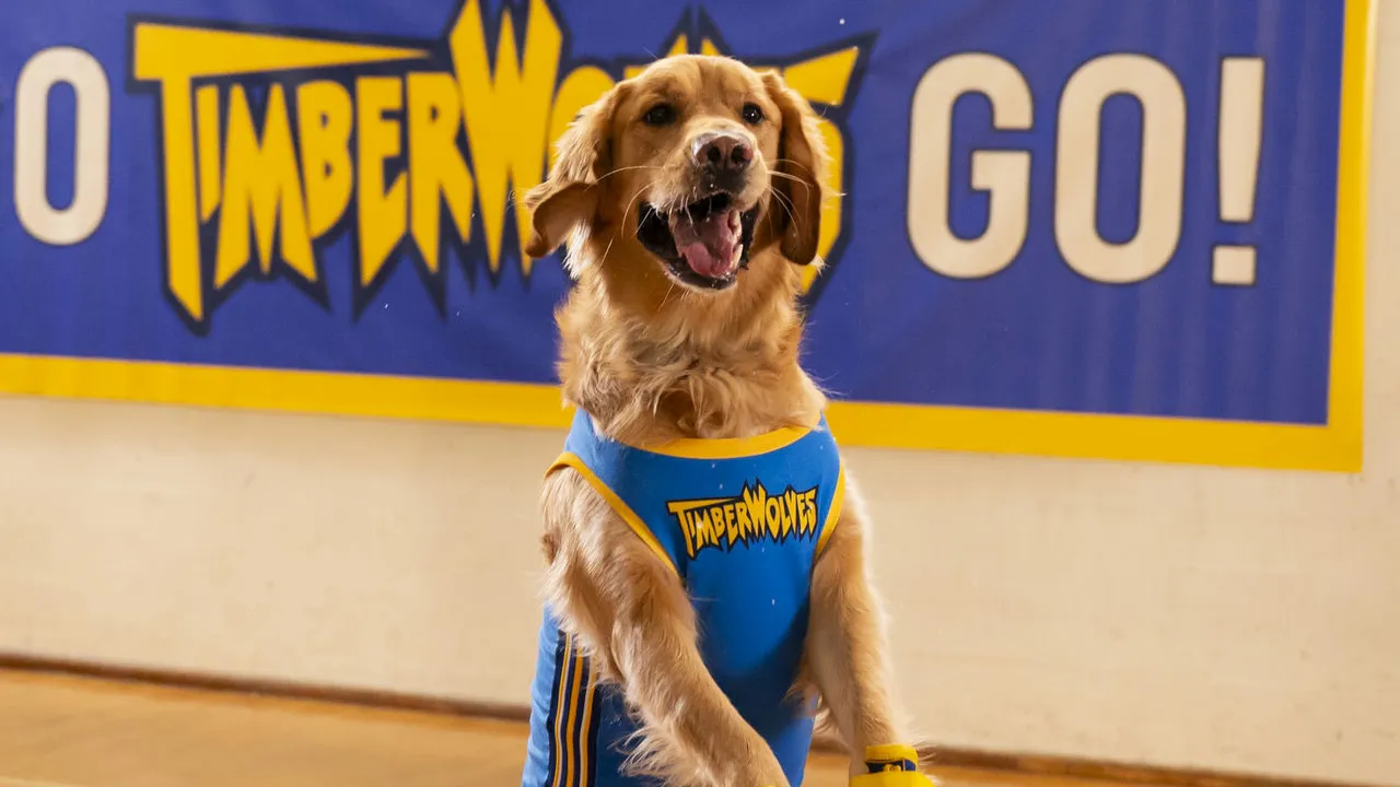 Air bud legacy ends: beloved retriever dies, reboot reboots reality