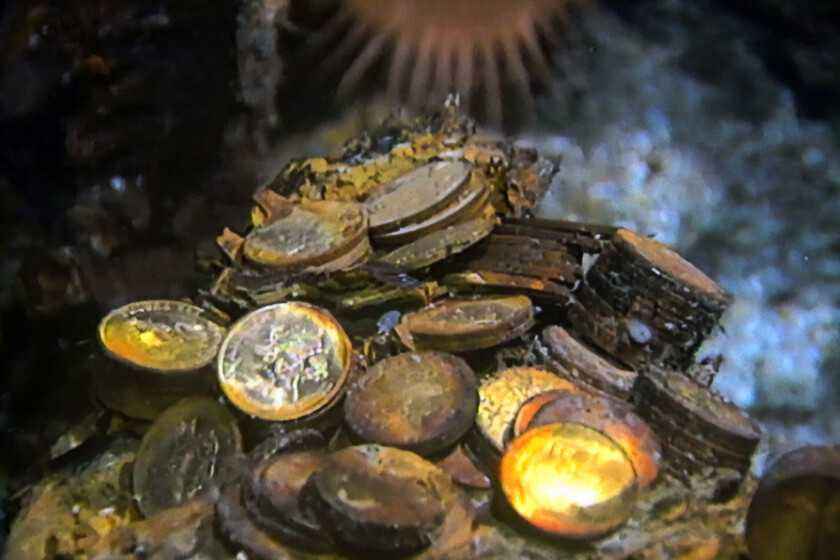 Sunken gold heist: treasure hunter's decade-long prison sentence finally ends